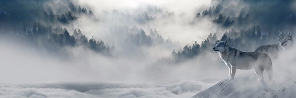 土岐亮介 banner