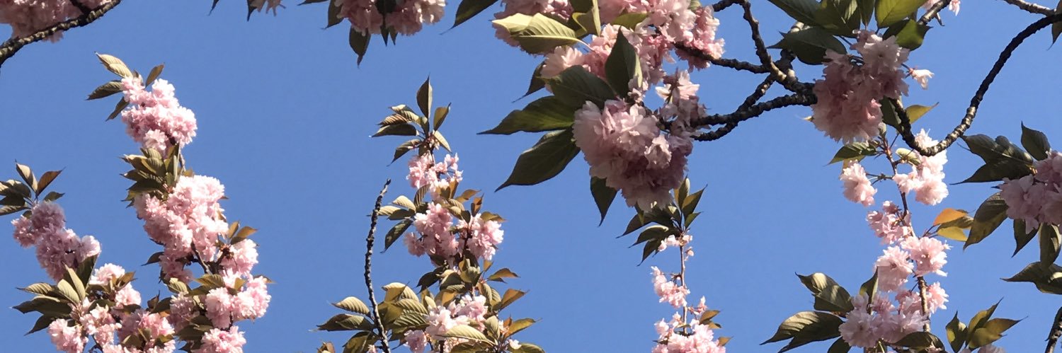じょろーず banner