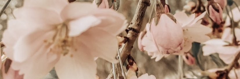 Juliallegrone's profile banner image