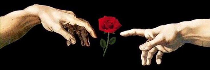 raquelgvx's profile banner image