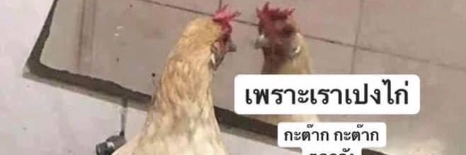 แม่ตุตุ๊ที่ได้รับความรักจากตุตุ๊ banner