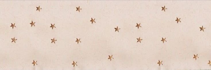 el (the pitt version) banner