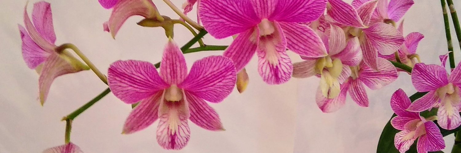 onkar321's profile banner image