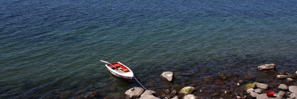 _NidhiC Profile Banner