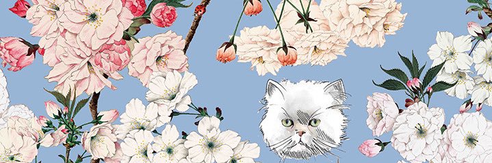 cojyuni's profile banner image