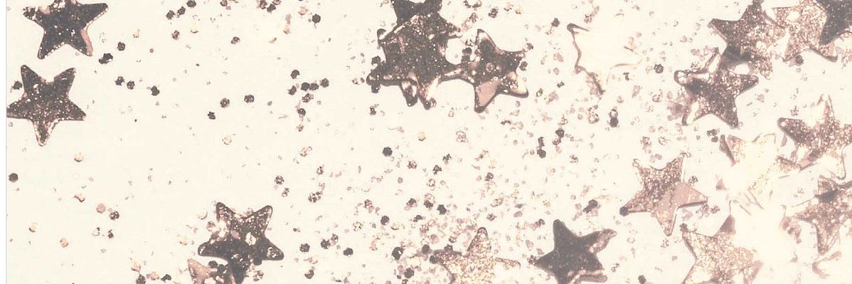 𝑙𝑜𝑣𝑖𝑒𝑛𝑛𝑒 𝑠𝑦𝑙𝑣𝑖𝑎 盧. ♡ྀི ₊ banner