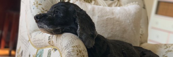 RealLucyDavis Profile Banner