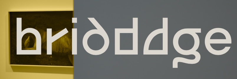 bridddge banner