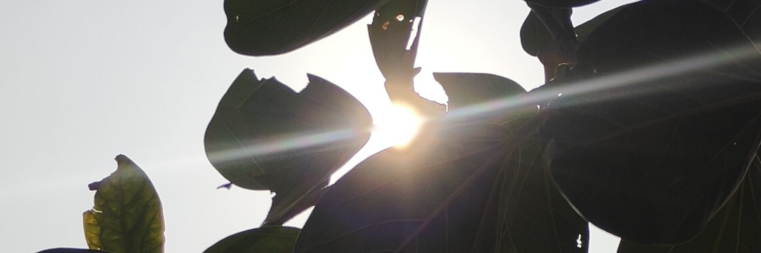 M KRISHNA PRASAD banner