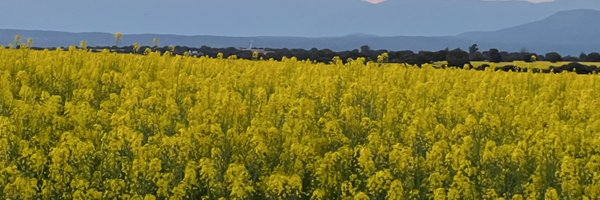 evafg Profile Banner