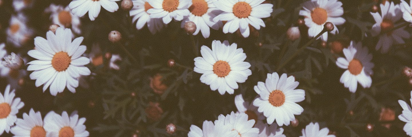 psychome_'s profile banner image