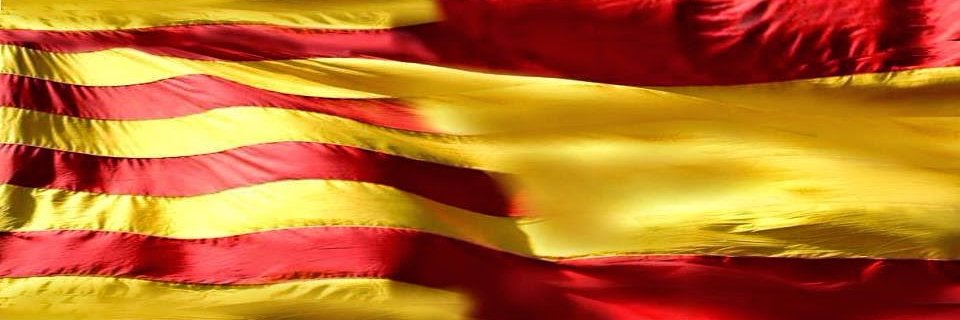 PadillaRoig's profile banner image
