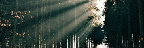elitonbabe's profile banner image