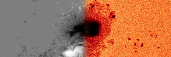 DS_Bloomfield Profile Banner