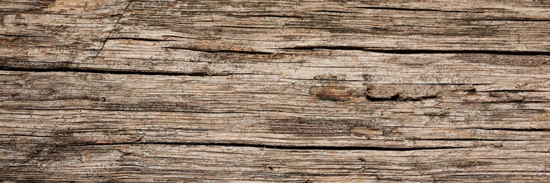 lancemccaskill's profile banner image