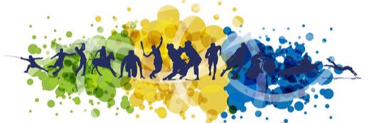 De Vincenzi JP banner