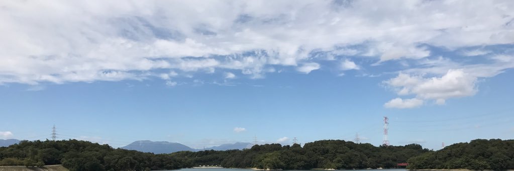 リリコ banner