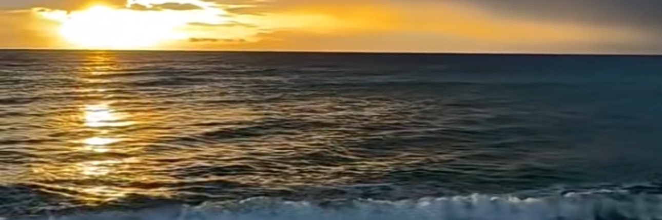 بندر الدريس banner