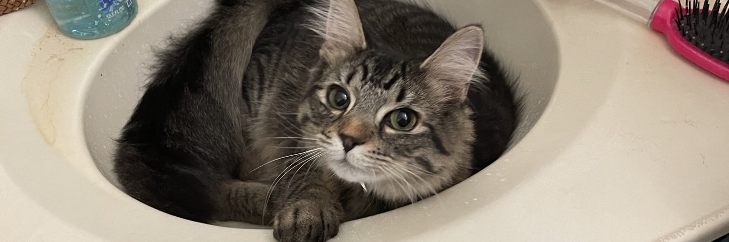 janet_lemon2's profile banner image