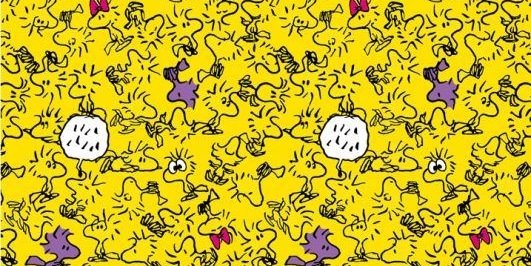 my_fhch's profile banner image