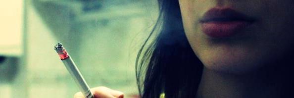 nesibekoc1's profile banner image