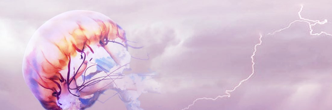 maddienette's profile banner image