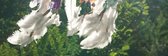 Thursgal's profile banner image