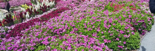 SMHeath1 Profile Banner