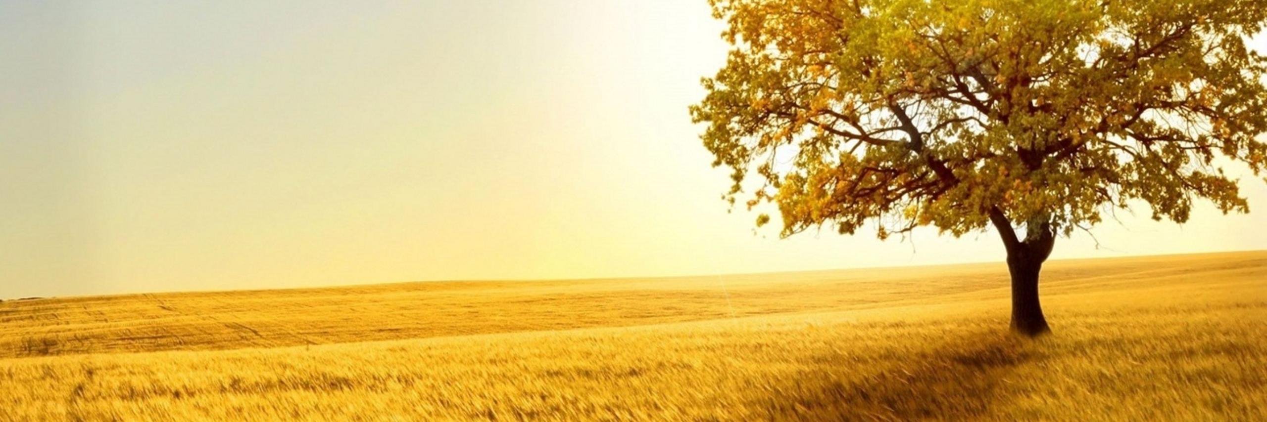 Aspercom's profile banner image