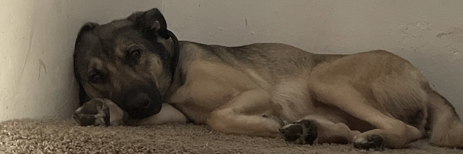 Shadow 🍃💨 banner