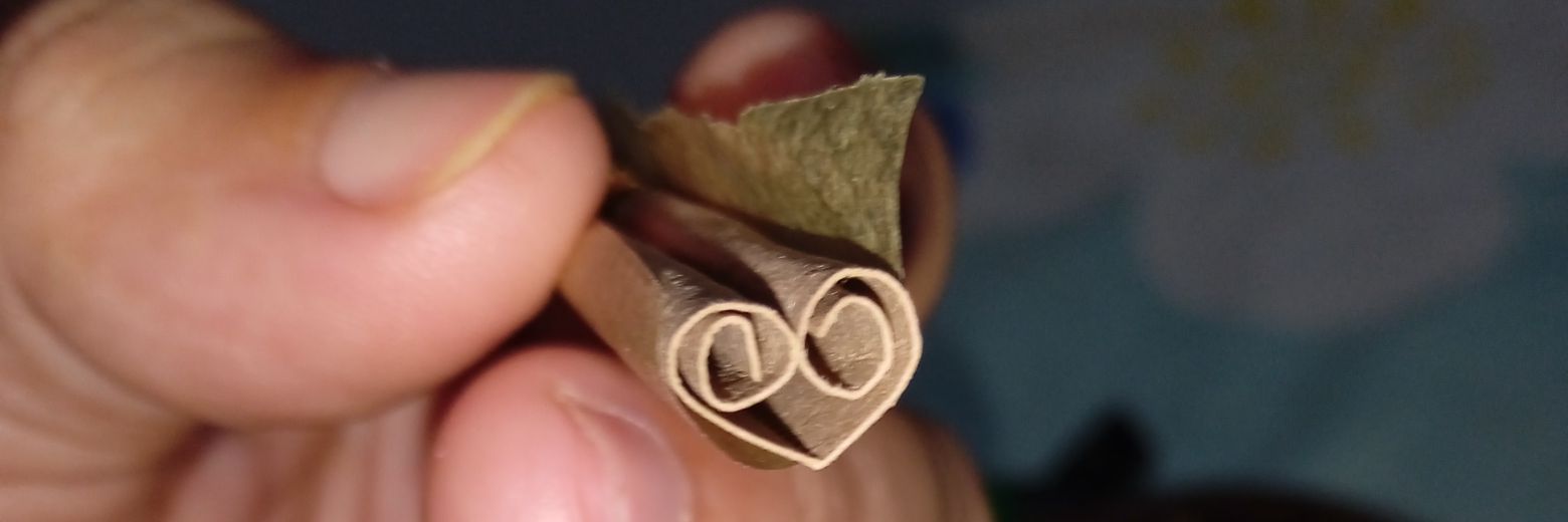 Mini's banner