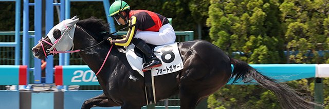 azemin(競馬専用アカウント） banner