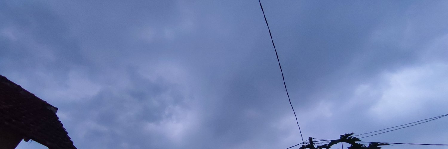 bolodisme's profile banner image
