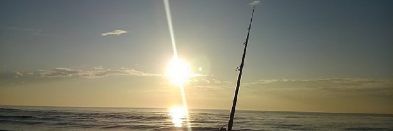 hito110's profile banner image