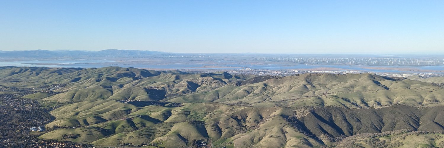 Emil Bogomolov banner