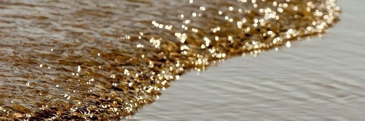 Areej Al ghamdi. banner
