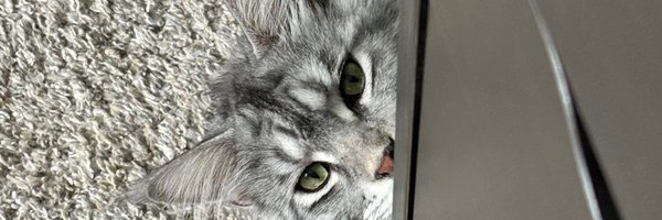 Echoics Profile Banner