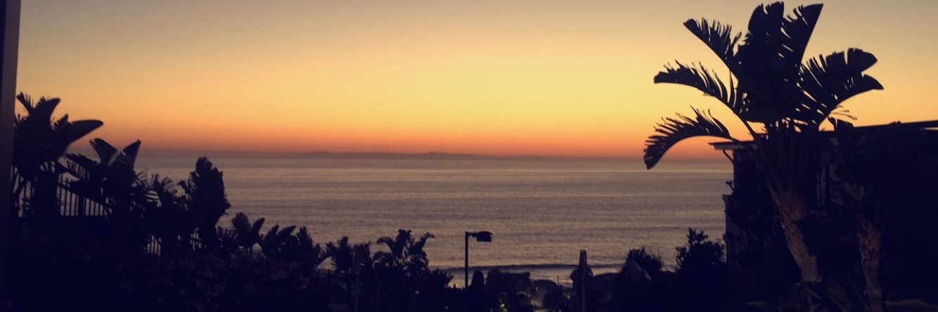 Carissa Cabrera banner