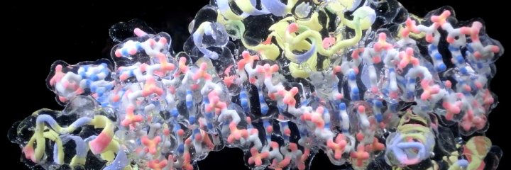 本間善夫 - 科学コミュニケーター banner