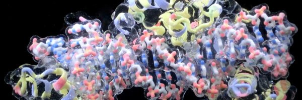 ecochem Profile Banner