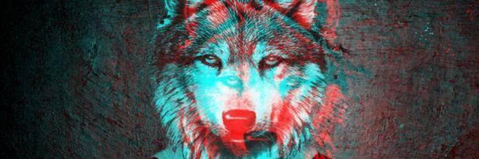 Fede banner