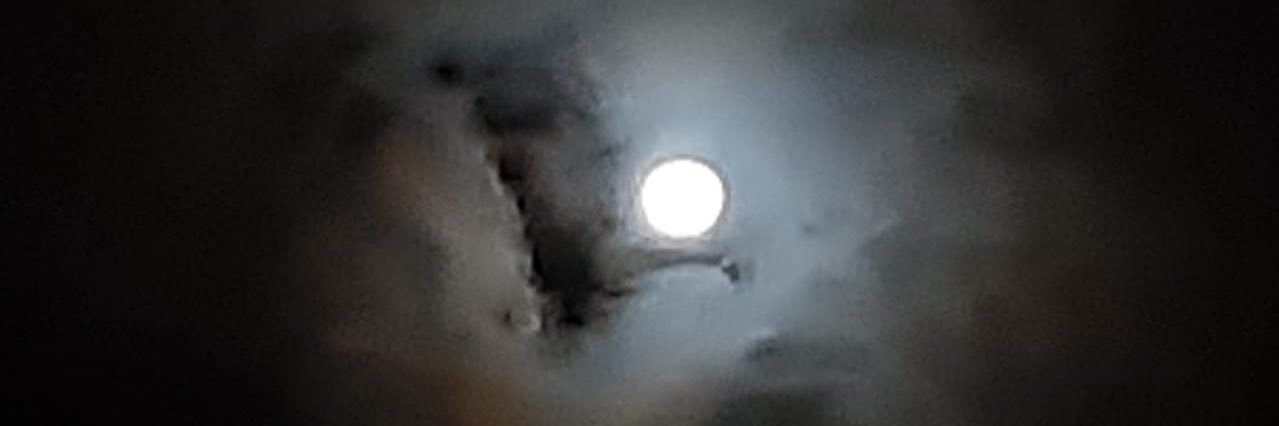 paoaristi's profile banner image
