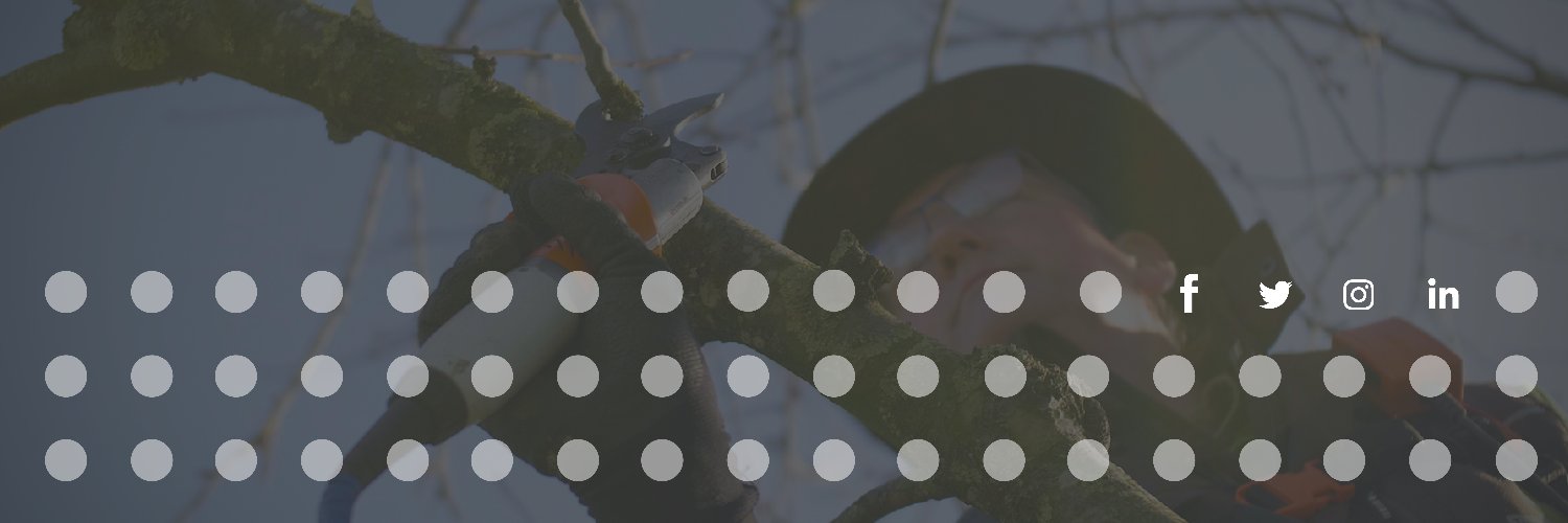 Tekenjetuin's profile banner image