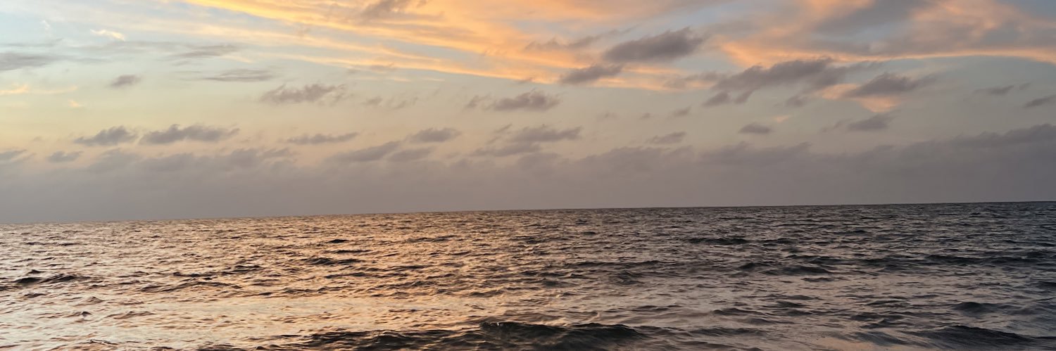 soniairojas's profile banner image