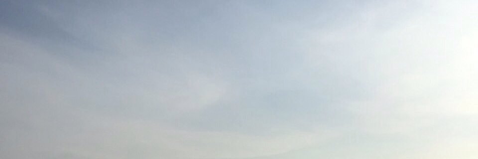 janhavidewi's profile banner image