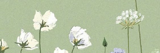 notyrbbae's profile banner image