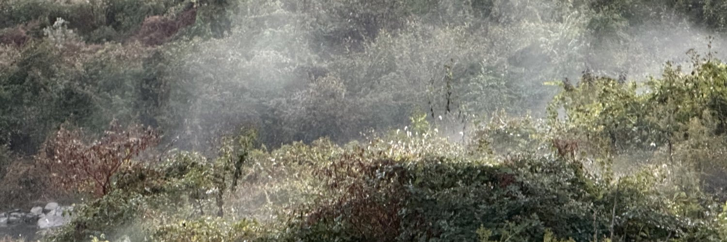 RobCcook's profile banner image