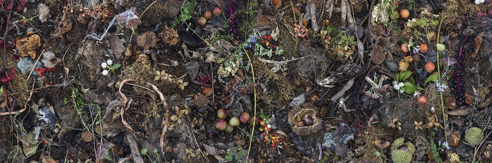 Maybe: Christian Rocha banner