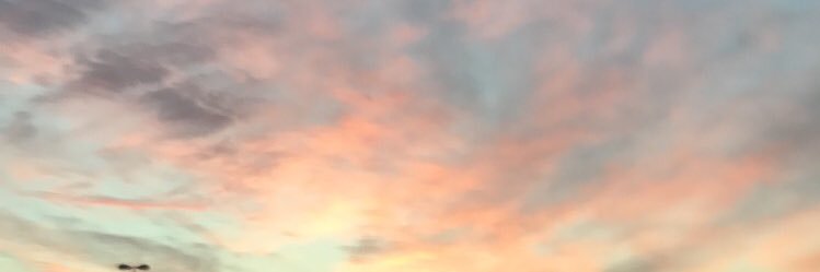 codingprincess's profile banner image