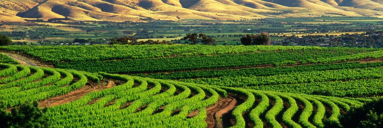 TilleysWines's profile banner image